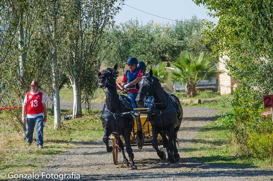 David Aramendía y Carmen Goiburu, Campeones Navarros de Enganches Completo en Troncos y Limoneras